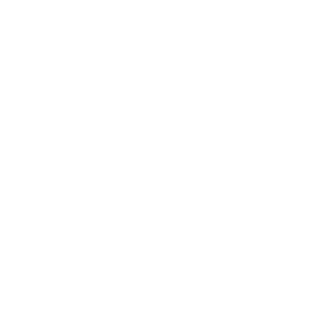 Copy of crest icon white no BG